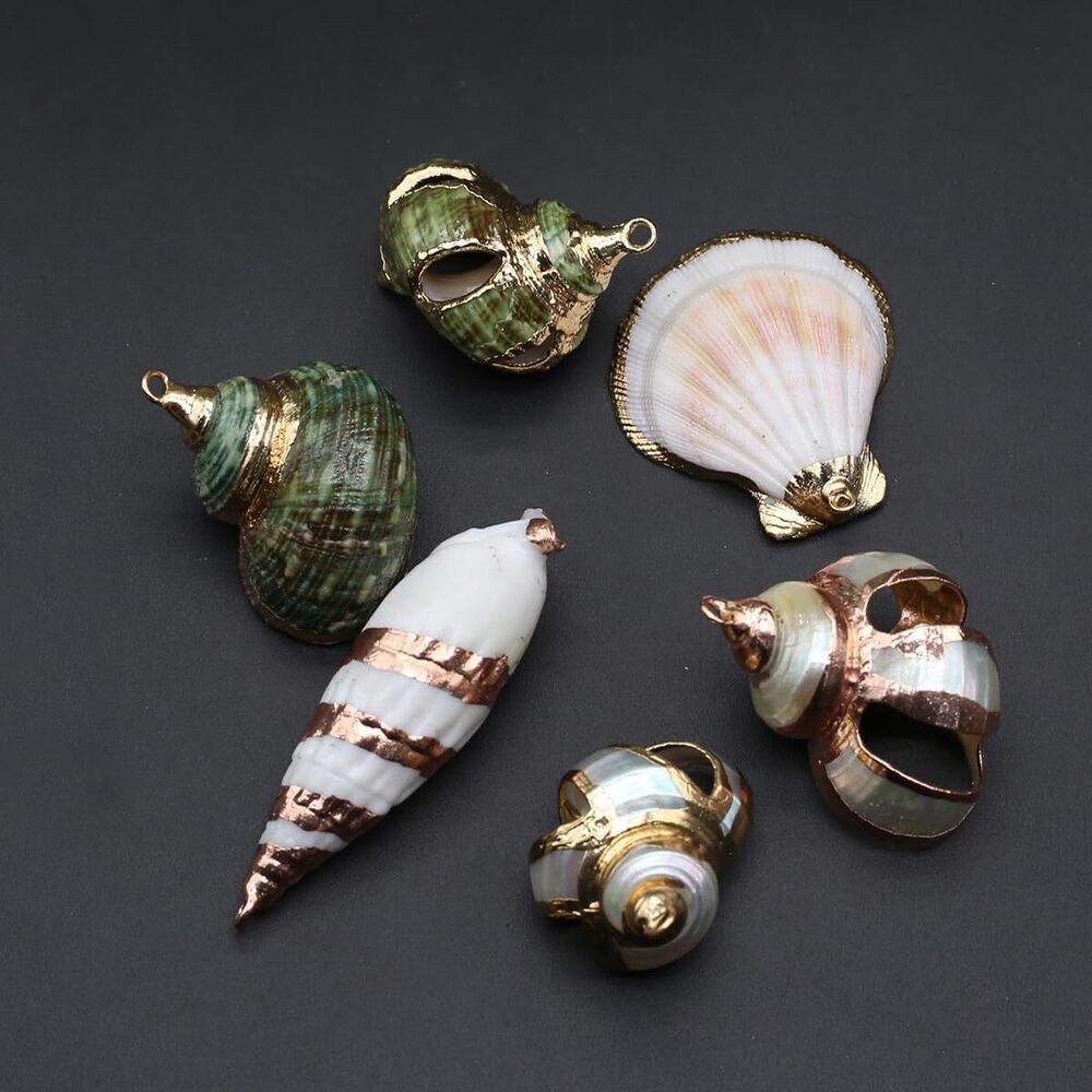 8848 20pcs Natural Pendants - Spiral, Conch, Cowrie, Sea Shells Charms - Picture 2 of 7